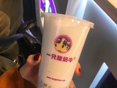 -一只酸奶牛(八一路店)