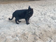 -DGE季风钓虾营地·团建·聚会