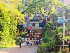 -九龙公园