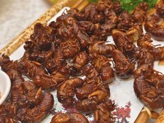 -印象高密·凤都国际大酒店