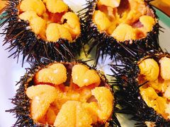 -海胆小馆(东北水饺·春柳店)