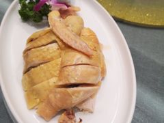 天然白斩鸡-碧丽宫大酒店(召稼楼店)