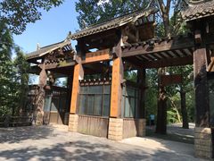 -溱湖国家湿地公园