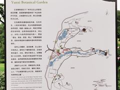 -云溪植物园