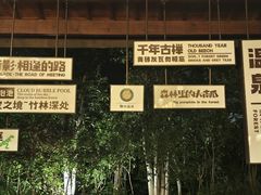 -天目湖御水温泉·度假酒店