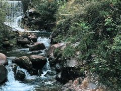 -大奇山国家森林公园
