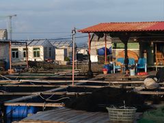-蓝湾碧波·老字号·疍家非遗海上餐厅