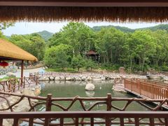 -青峰峡国家森林公园