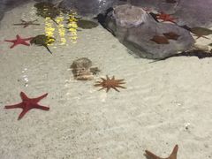 -福州罗源湾海洋世界旅游区