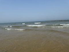-日照海滨国家森林公园