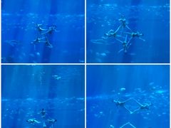 -南昌融创海世界