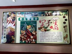 -菌之家·专业纯野生菌火锅·特色炒菌