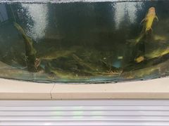 -屯老二农家铁锅炖·行业领军者(梅江店)