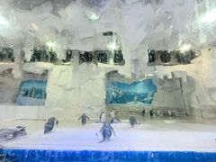 -华夏文旅海洋公园