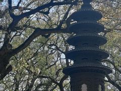 -普陀山风景名胜区-法雨禅寺