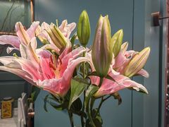 -南堂馆·新川菜(春熙路店)