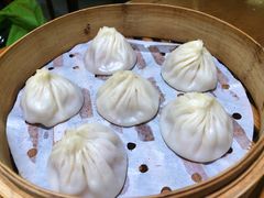 鲜肉小笼-苏小柳手工点心(人民广场分院)