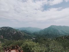 -大岭沟猕猴桃谷风景区