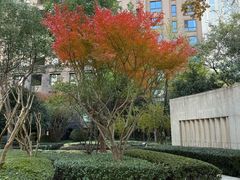 -万科·翡翠雅宾利