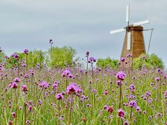 -漩门湾国家湿地公园