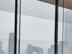-北京柏悦酒店·锦庭餐厅Dining Room