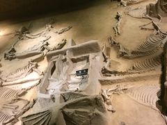 -洛阳周王城天子驾六博物馆