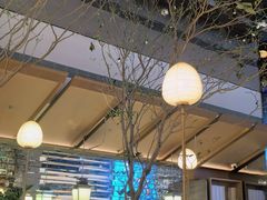 -桂满陇·海市蜃楼·黑金(国金店)