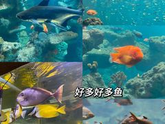 -长鹿旅游休博园