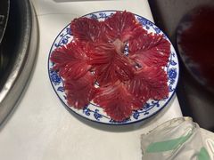 -卤校长老火锅(杨家坪直营店)