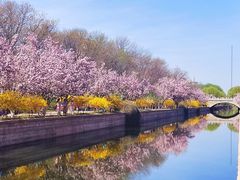 -海棠花溪(元大都城垣遗址公园)