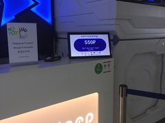 -谢列梅捷沃国际机场