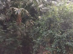 -龙达温泉生态城