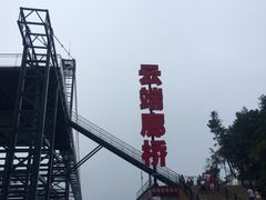 -梦幻奥陶纪景区