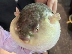 -永安鱼庄·镇江菜(东吴路店)