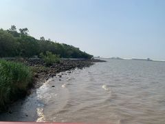 -吴淞炮台湾湿地森林公园烧烤区