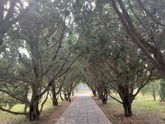 -洛阳古墓博物馆