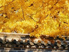 -浮来山风景区