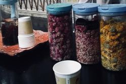 -莎蔓莉莎美容会所