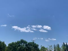-东郊湿地公园