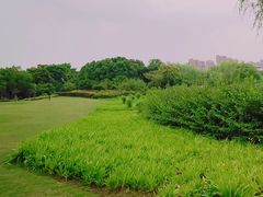 -杭州城北体育公园