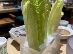 狼牙白菜-阳坊胜利涮羊肉(阳坊老店)