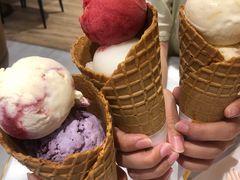 -哈根达斯(深圳海岸城店)