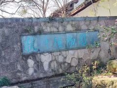-杭州植物园