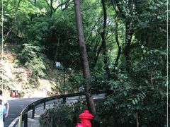 -岳麓山风景名胜区