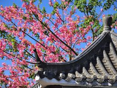 -风云岭森林公园