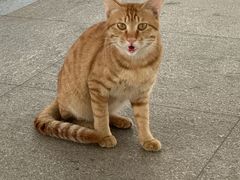 -南京工程学院(江宁校区)