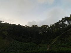-狐尾山公园