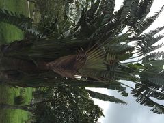 -红色娘子军纪念园