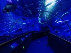 -厦门海底世界
