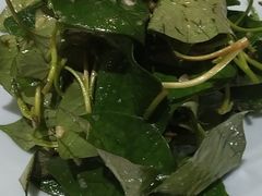 -食家鸽园